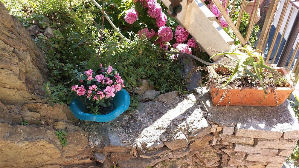 Affittacamere Elisabetta Vernazza Eksteriør bilde